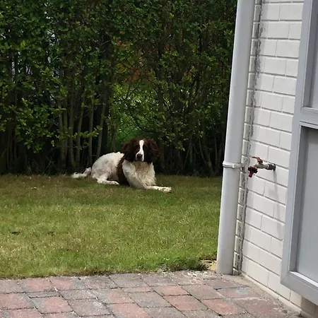 House 49, 3 Slaapkamers, 6 Personen De Haan