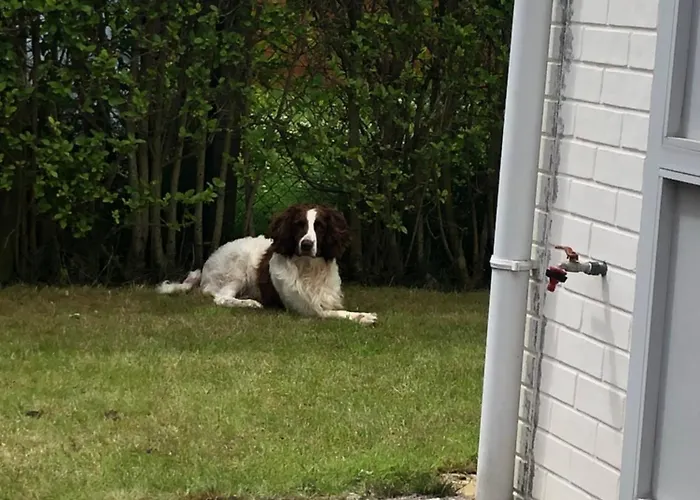 House 49, 3 Slaapkamers, 6 Personen De Haan